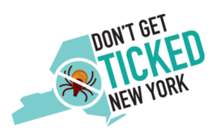 Tick and Lyme Disease Safety Resources