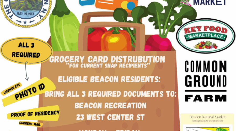 Emergency SNAP Assistance Program Distribution Schedule