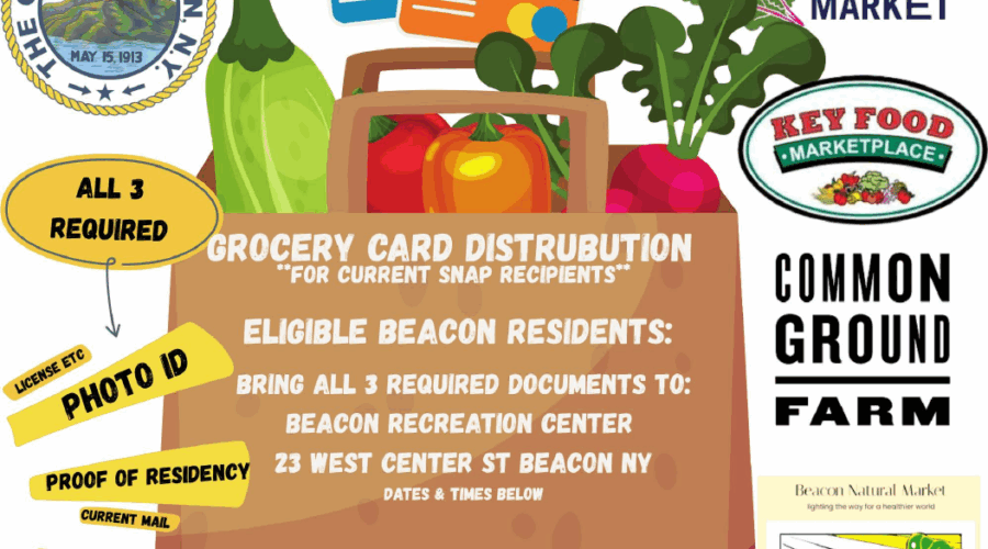 Emergency SNAP Assistance Program Distribution Schedule