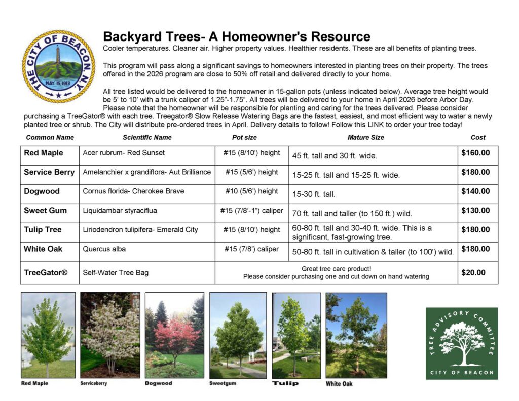 2026 Backyard Tree Program Now Open — City of Beacon