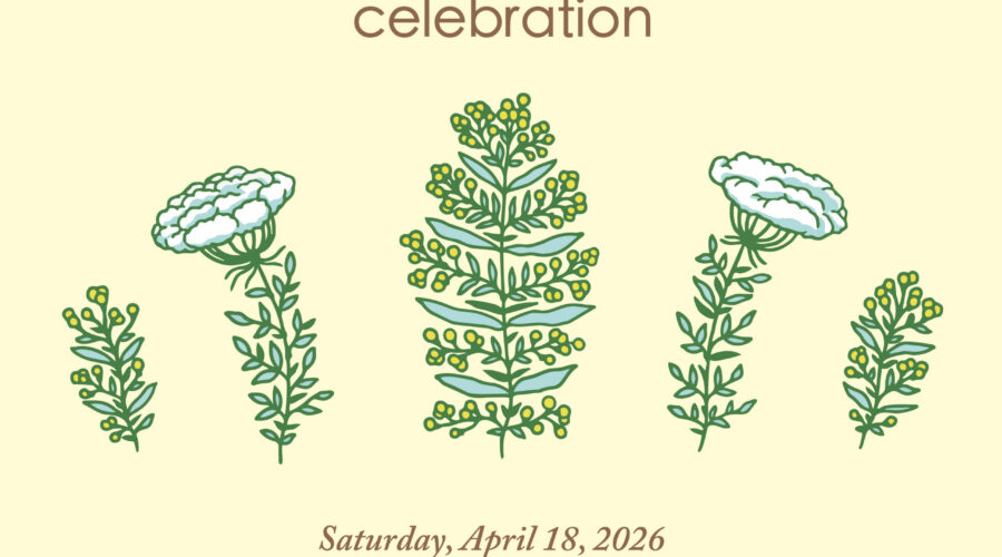 Earth Day Clean-Up and Environmental Fair